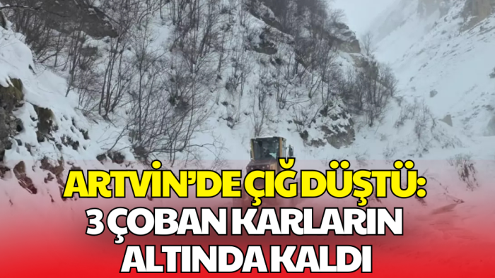 Artvin’de Çığ Düştü: 3 Çoban Kar Altında Kaldı